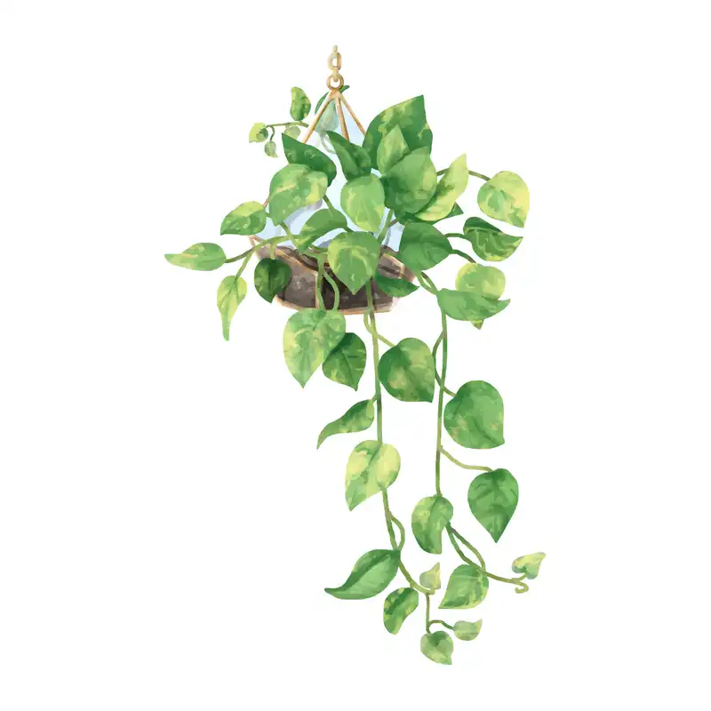 استیکر دیواری طرح پیتوس کد ۰۱