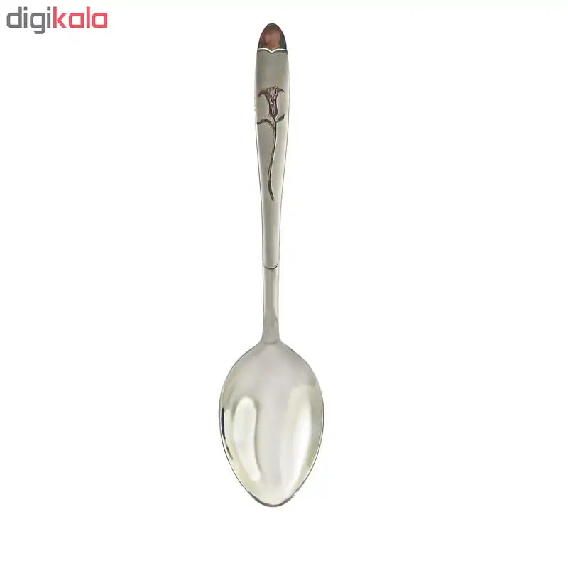 قاشق اجیل خوری نیوهوم کد 0860