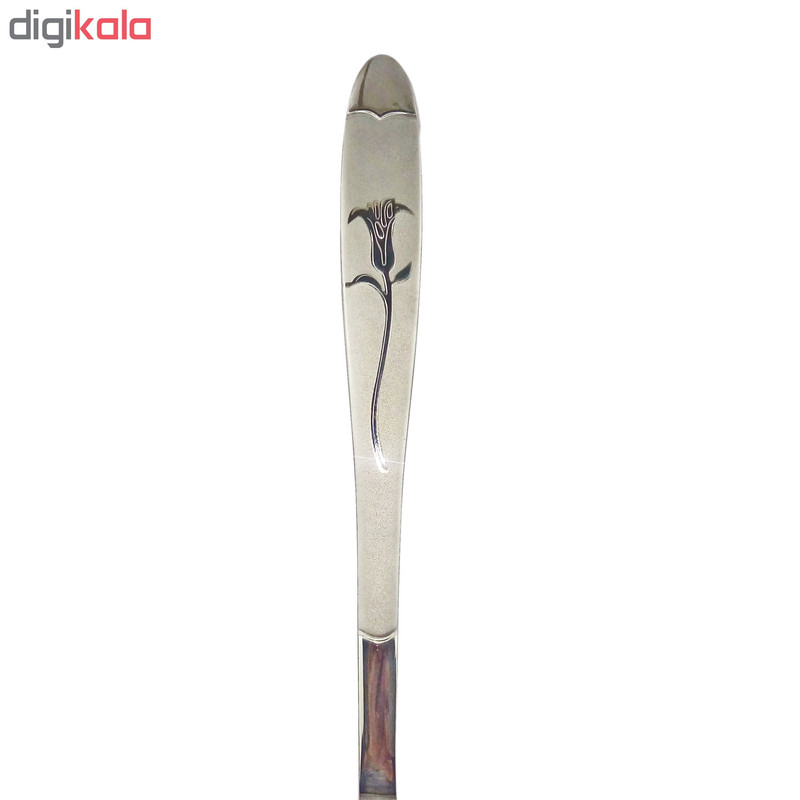 قاشق اجیل خوری نیوهوم کد 0860