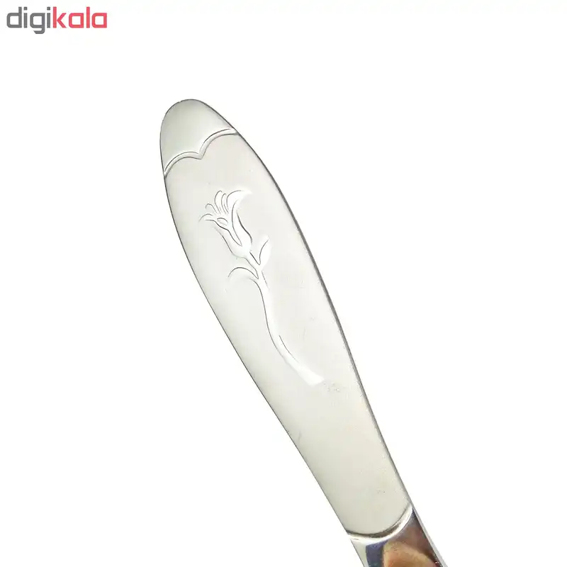 قاشق اجیل خوری نیوهوم کد 0620