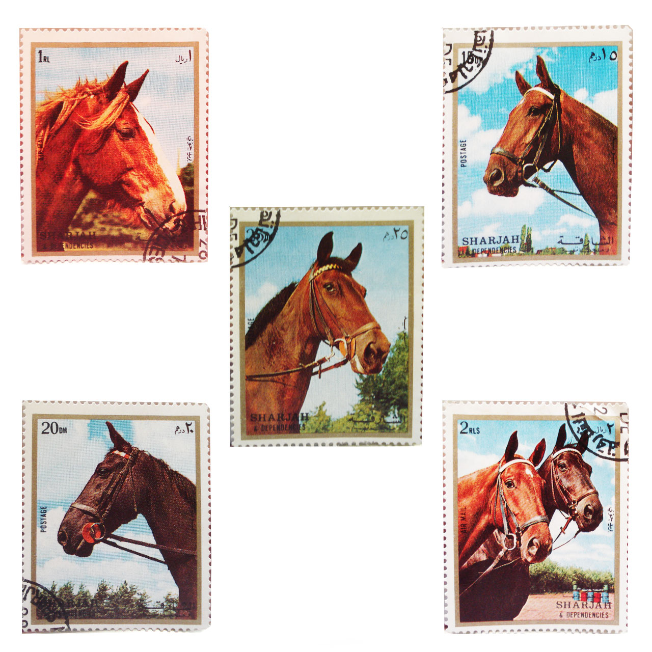 تمبر یادگاری سری حیوانات مدل HORSE5B مجموعه 5 عددی