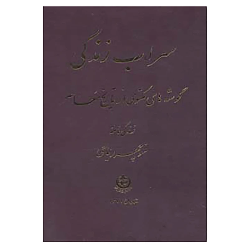 کتاب سراب زندگی اثر منوچهر ریاحی