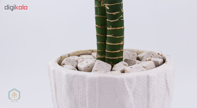 سنگ تزئینی فیور مدل CS1 وزن ۱.۵ کیلوگرم