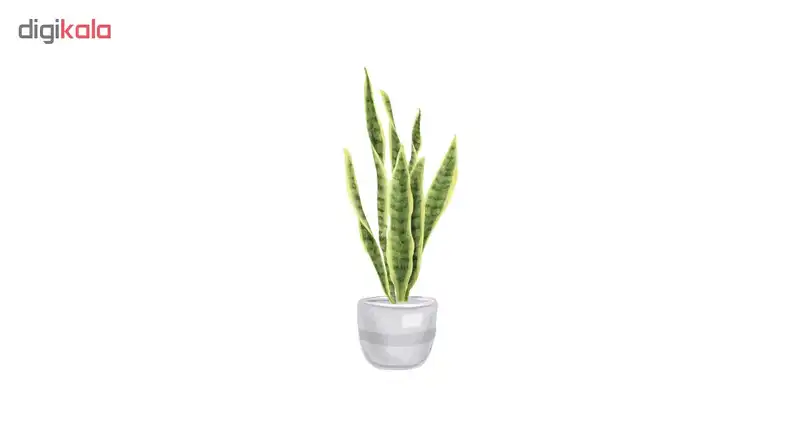 استیکر دیواری طرح سانسوریا کد ۰۱