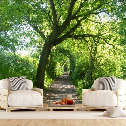پوستر دیواری سه بعدی طرح جنگل کد ITT7