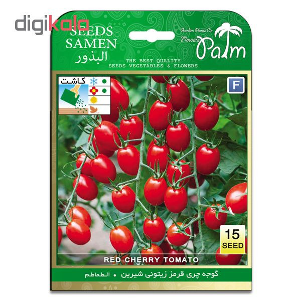 بذر گوجه چری قرمز زیتونی شیرین پالم کد 01 بسته 15 عددی بذر گوجه چری قرمز زیتونی شیرین پالم کد 01 بسته 15 عددی