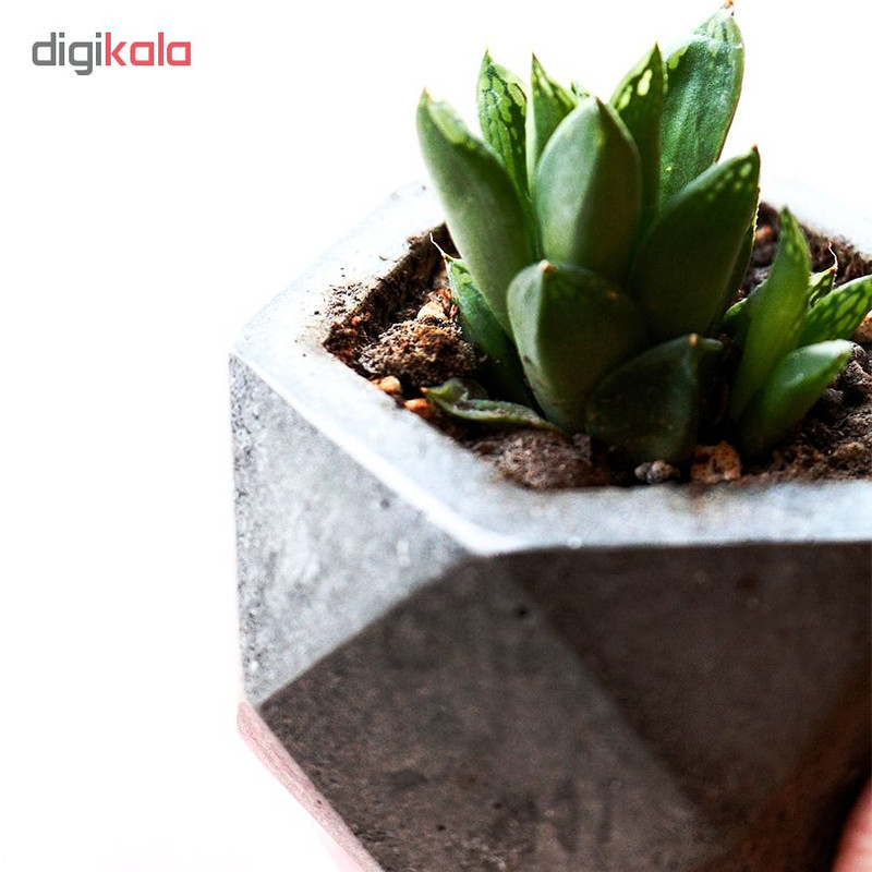 گلدان زیکو مدل g101