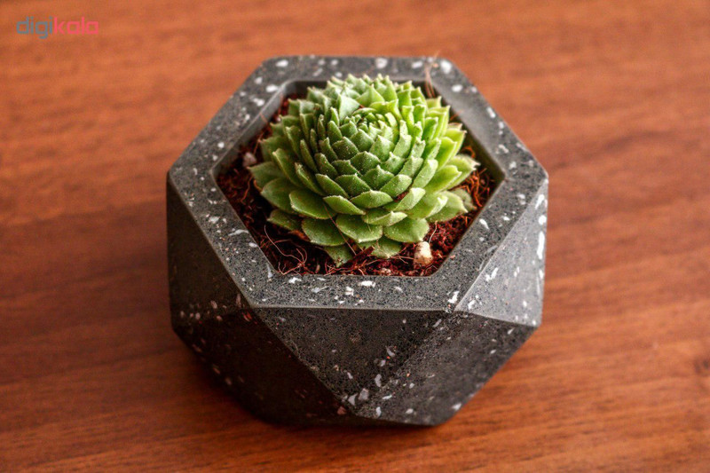 گلدان زیکو مدل gw101