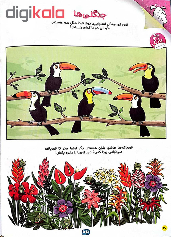 مجله نبات کوچولو شماره 48