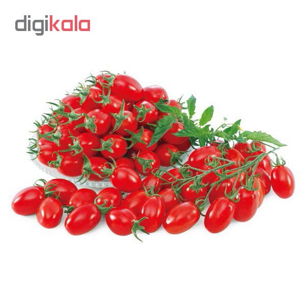 بذر گوجه چری قرمز زیتونی شیرین پالم کد 01 بسته 15 عددی بذر گوجه چری قرمز زیتونی شیرین پالم کد 01 بسته 15 عددی