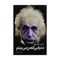 کتاب دنیایی که من می بینم اثر آلبرت اینشتین