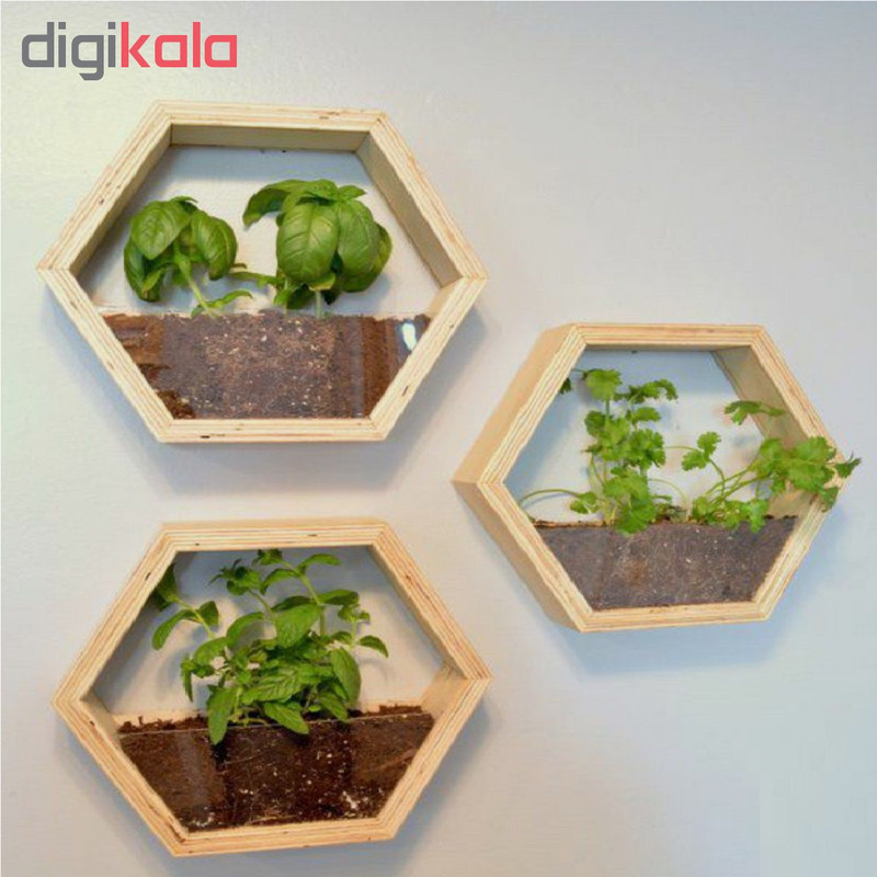 گلدان دیواری چوبیس کد ۱۰۱