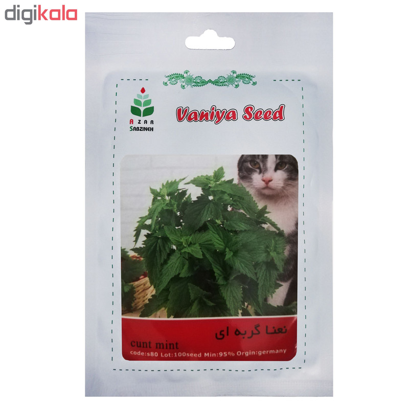 بذر نعنا گربه ای آذر سبزینه مدل S80