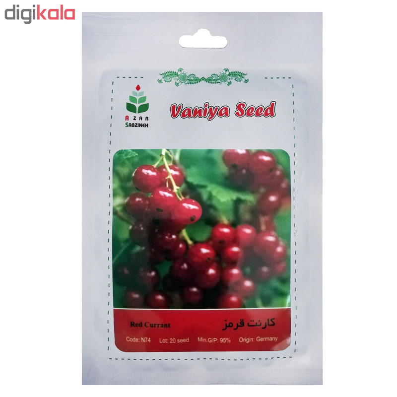 بذر کارنت قرمز آذر سبزینه مدل N74