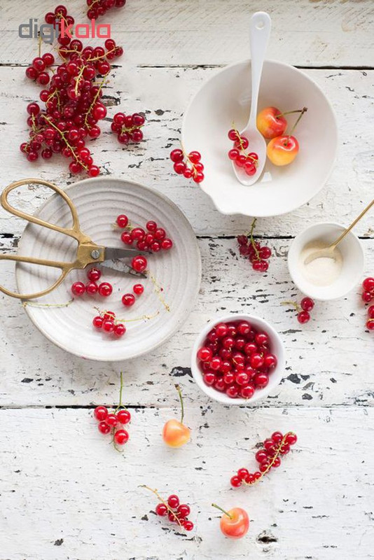 بذر کارنت قرمز آذر سبزینه مدل N74