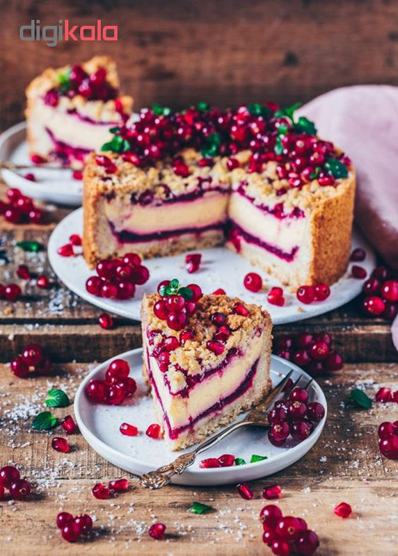 بذر کارنت قرمز آذر سبزینه مدل N74