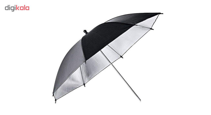 کیت فلاش گودکس مدل E250 2
