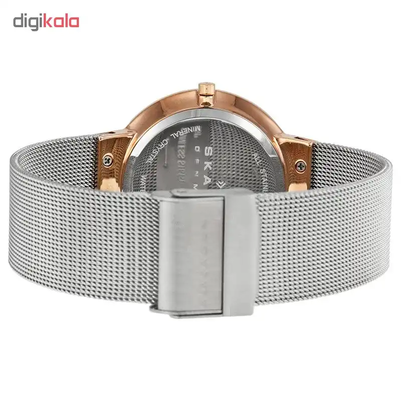 ساعت مچی عقربه ای زنانه اسکاگن دانمارک کد 456LRS