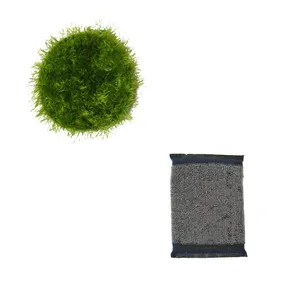 اسکاچ کد 0014 مجموعه 2 عددی