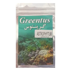  بذر کاکتوس آستروفیتوم گرینتوس مدل j116 بسته 10 عددی