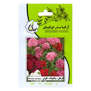 بذر  قرنفل پا کوتاه الوان آرکا بذر ایرانیان مدل C115