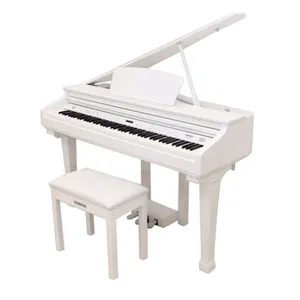 Albinoni GP-300 Digital Piano