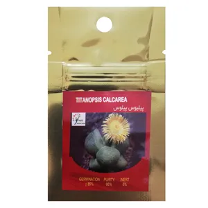 بذر کاکتوس پیلیوس پیلوس رویال سید مدل BZK-03