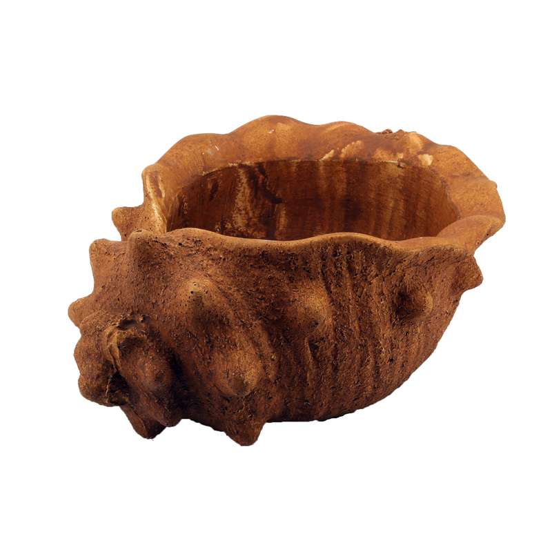 گلدان طرح صدف کد W5