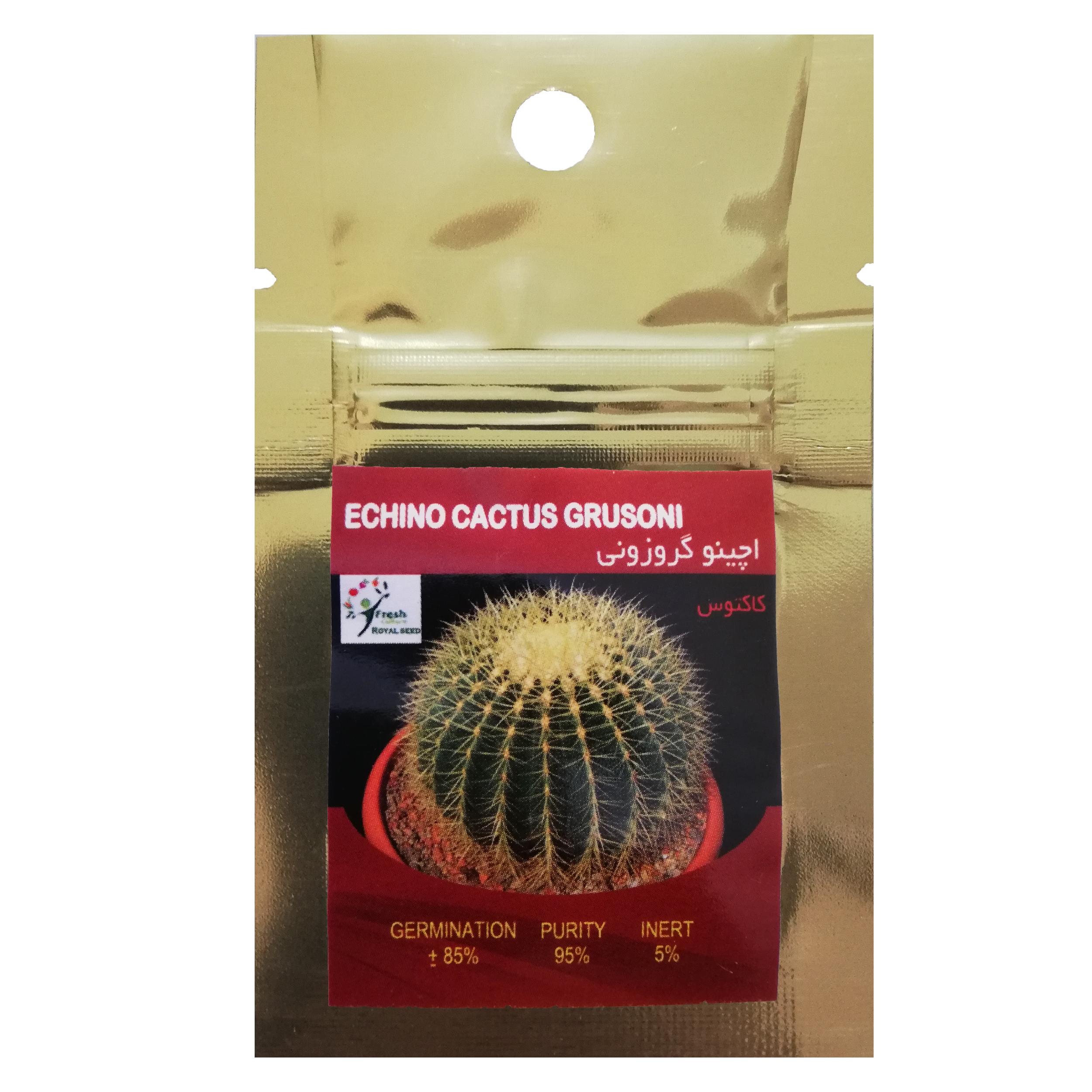 بذر کاکتوس اچینو گروزونی رویال سید مدل BZK-01