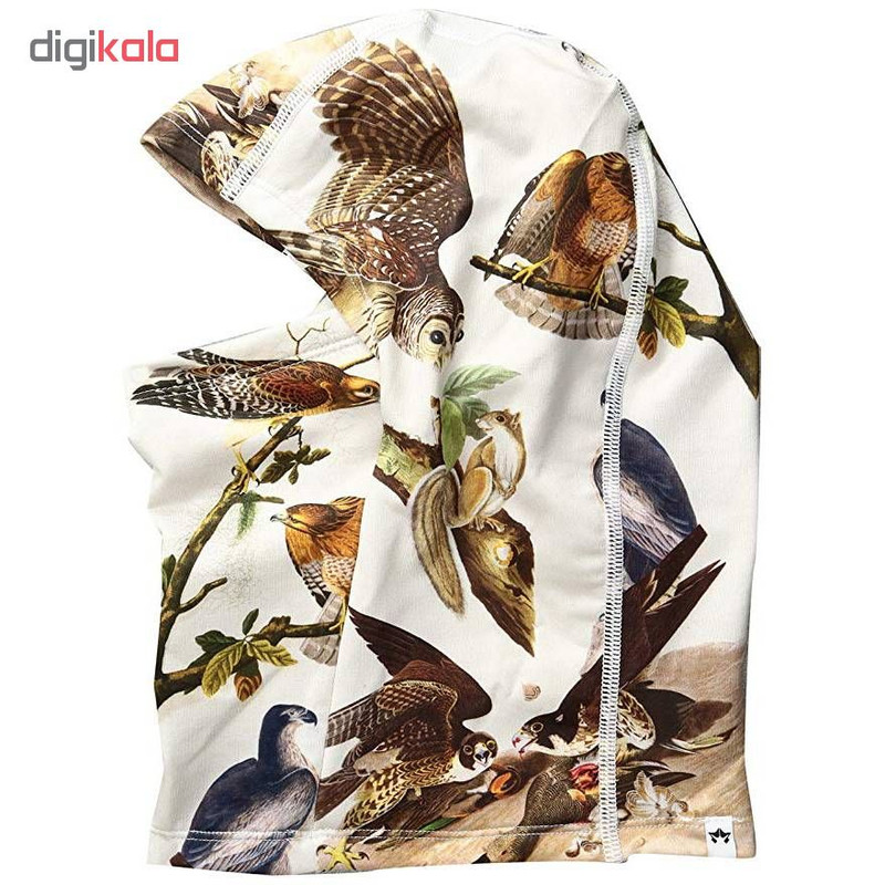 ماسک اسکی روم روم اس دی اس مدل Birds