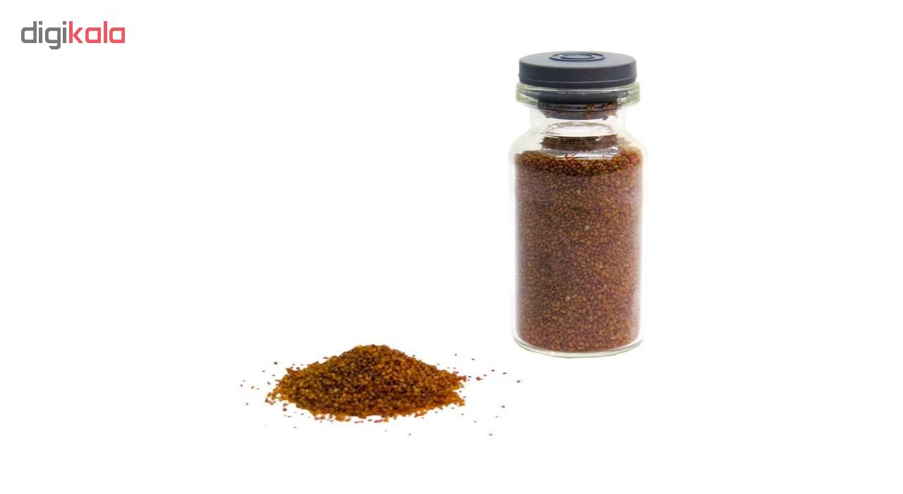 بذر چمن آکواریوم مدل GS-003 بسته 2 عددی