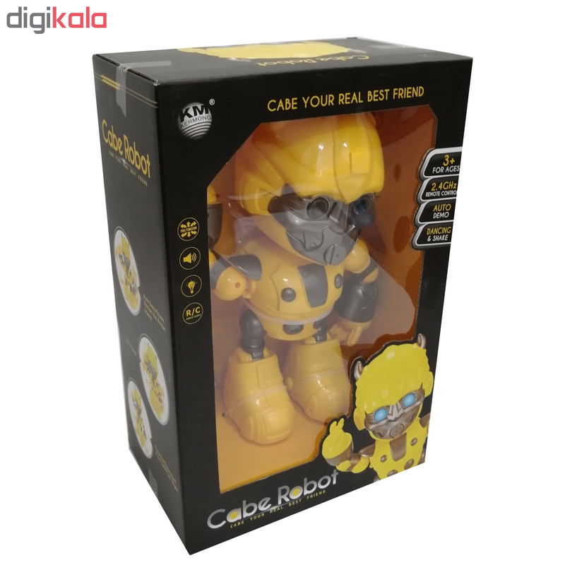 ربات کنترلی مدل cabe robot