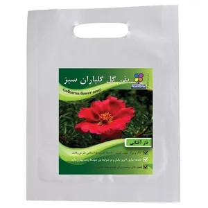 بذر گل ناز آفتابی گلباران سبز