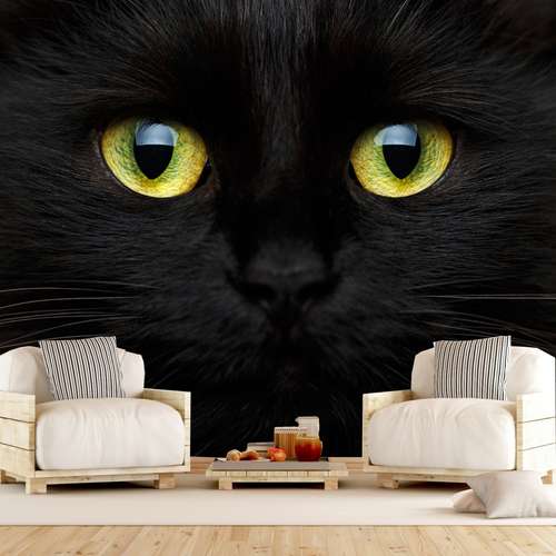 پوستر دیواری سه بعدی طرح گربه کد A1728