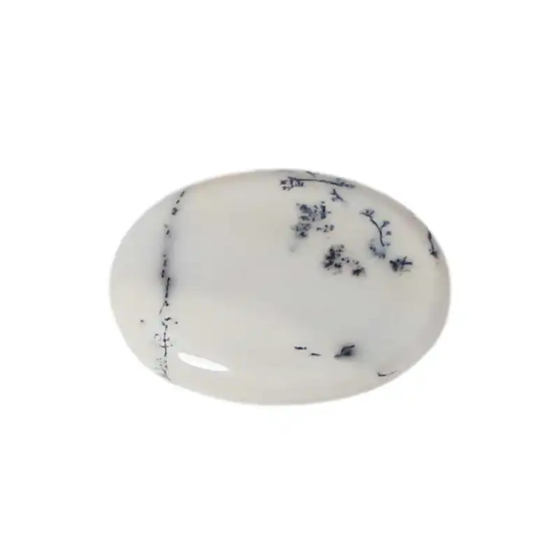 سنگ ماس اوپال شجر کد 5681