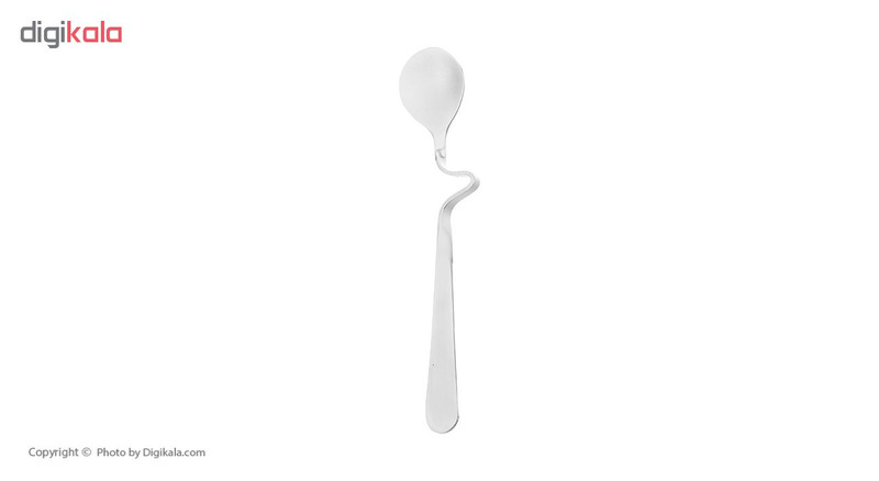 قاشق عسل خوری صنایع استیل ایران مدل پاشا