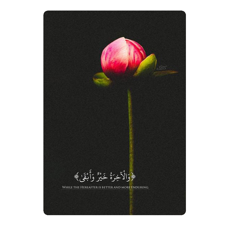 دیوارکوب کاغک مدل qfl