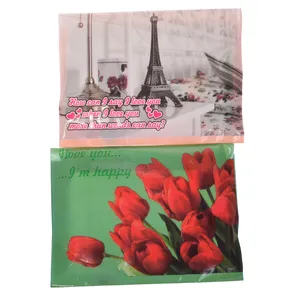 دستمال کاغذی جیبی 10 برگ کلرسون مدل 22A مجموعه 2 عددی