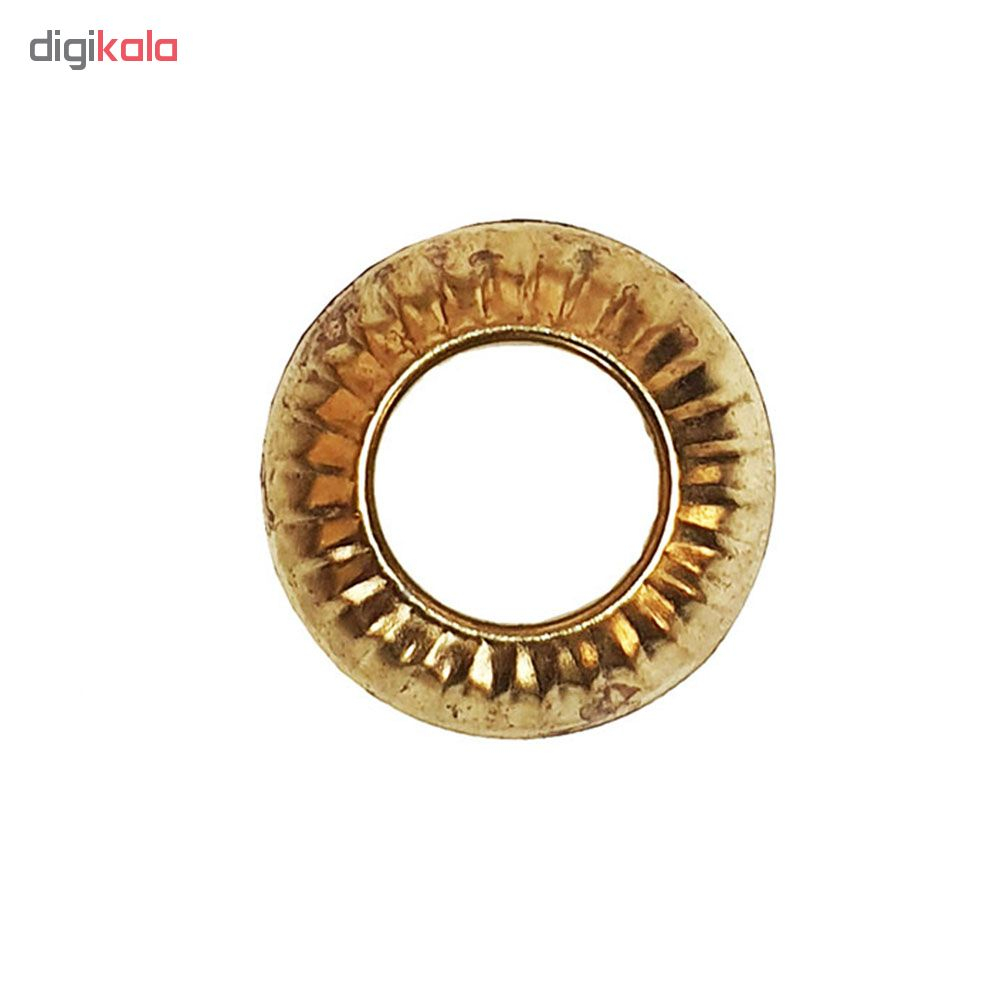 حلقه ی پای کبوتر کد A123 بسته 100 عددی