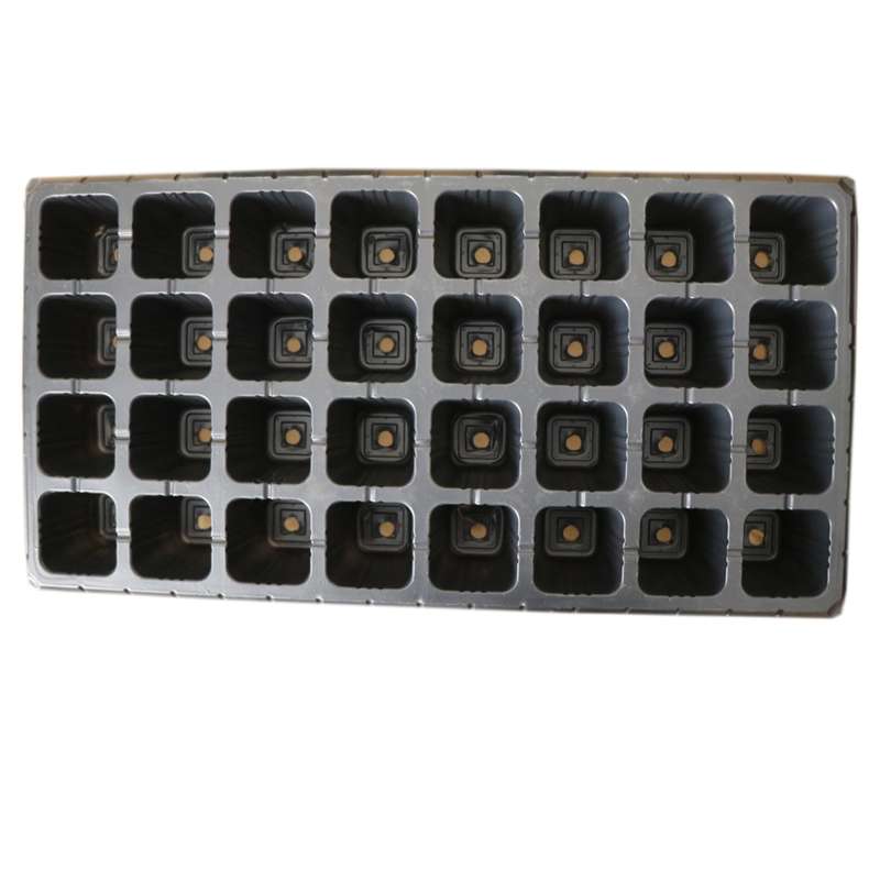 سینی نشا کد ch5 بسته ۵ عددی