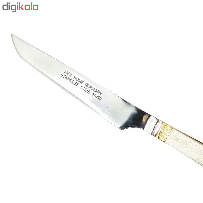 کارد میوه خوری نیوهوم کد 0880 طرح هخامنش بسته 12 عددی