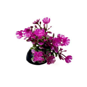 گیاه آکواریوم کد 005 