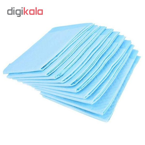 زیرانداز بهداشتی بیمار تی دی اس مدل TD10 بسته 10 عددی