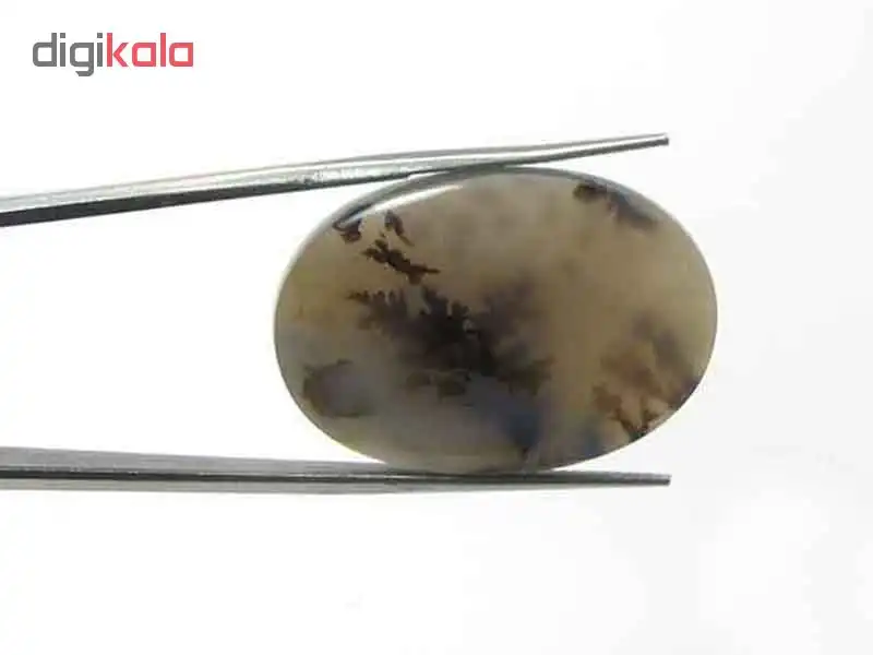 سنگ عقیق شجر کد 5339