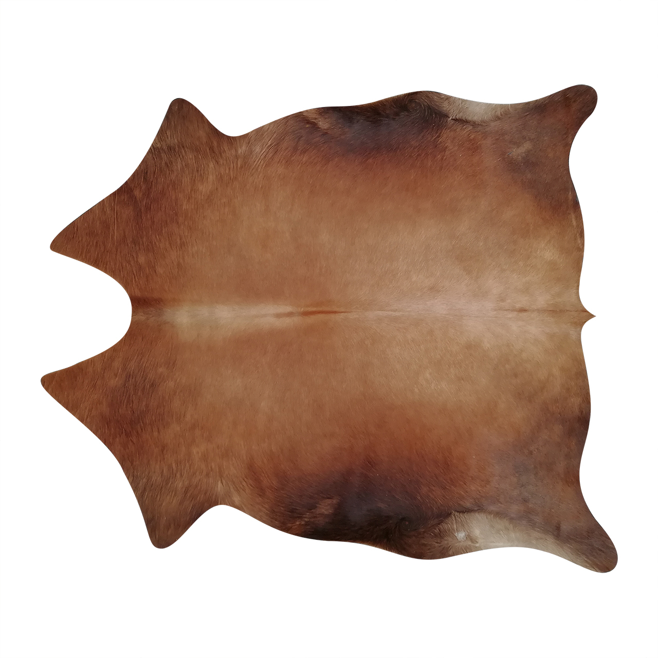 فرش پوست و چرم کمالی مدل AA-00615