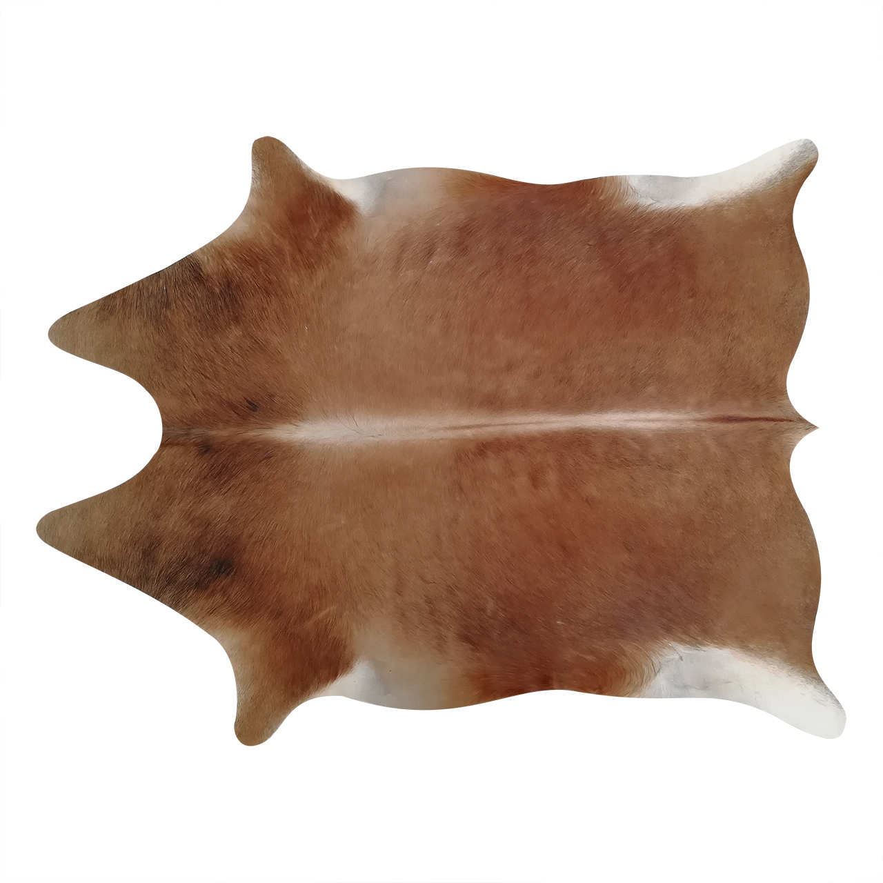 فرش پوست و چرم کمالی مدل AA-00640