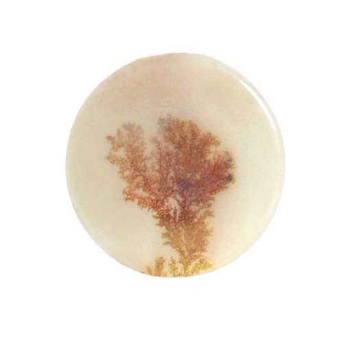 سنگ عقیق شجر کد 5052