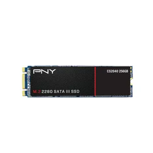 اس اس دی اینترنال پی ان وای مدل CS2040 2280 ظرفیت 256 گیگابایت