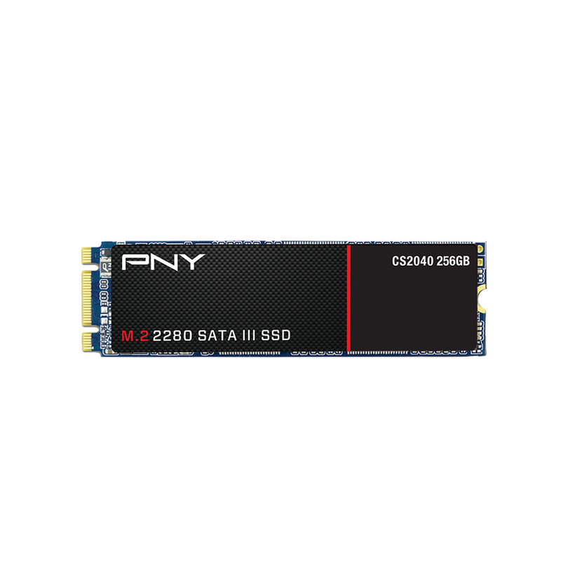 اس اس دی اینترنال پی ان وای مدل CS2040 2280 ظرفیت 256 گیگابایت