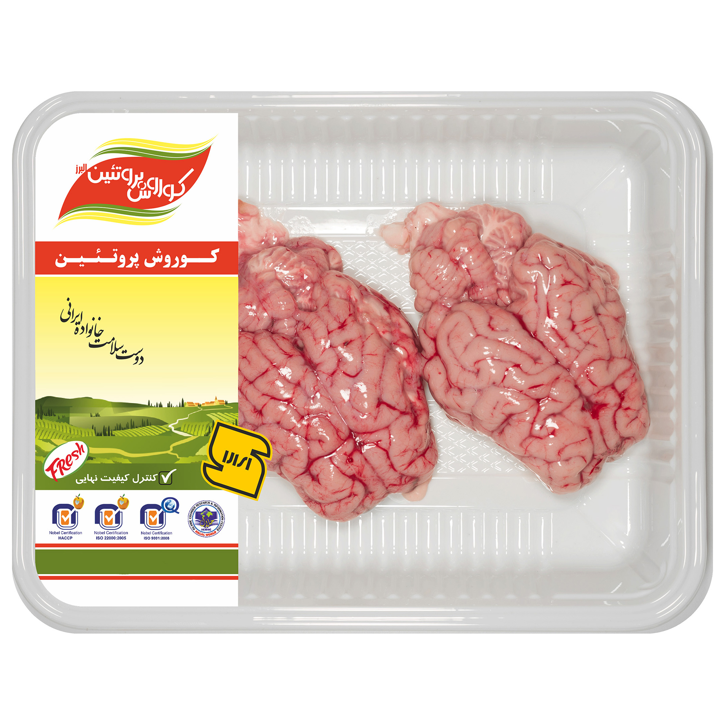 مغز گوسفندی کوروش پروتئین بسته 2 عددی